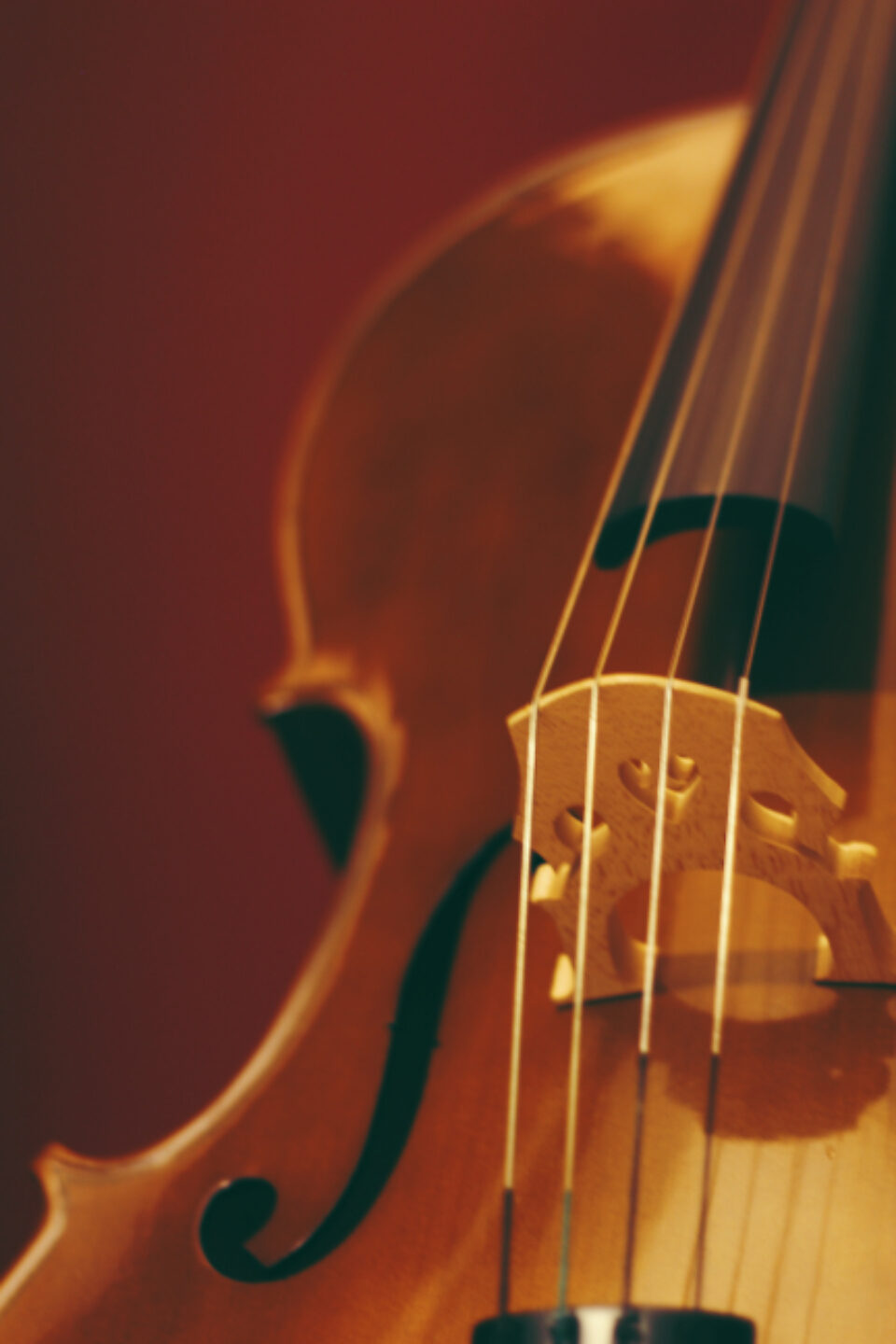Violin class at the center